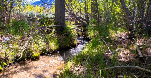 371 Canyon Creek Court, Gardnerville, NV 89460 Photo