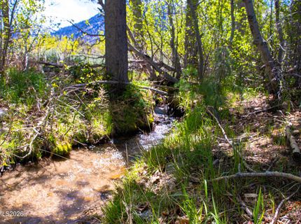 371 Canyon Creek Court, Gardnerville, NV 89460 Photo