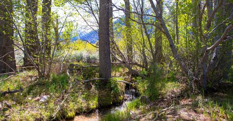 371 Canyon Creek Court, Gardnerville, NV 89460 Photo