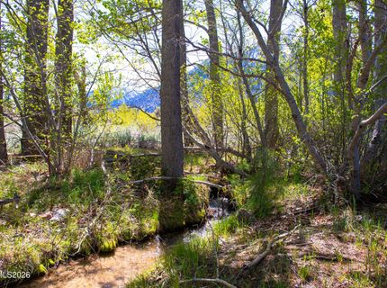 371 Canyon Creek Court, Gardnerville, NV 89460 Photo