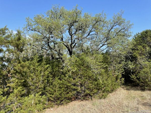 1865 STALLION SPRINGS DR, Fischer, TX 78623