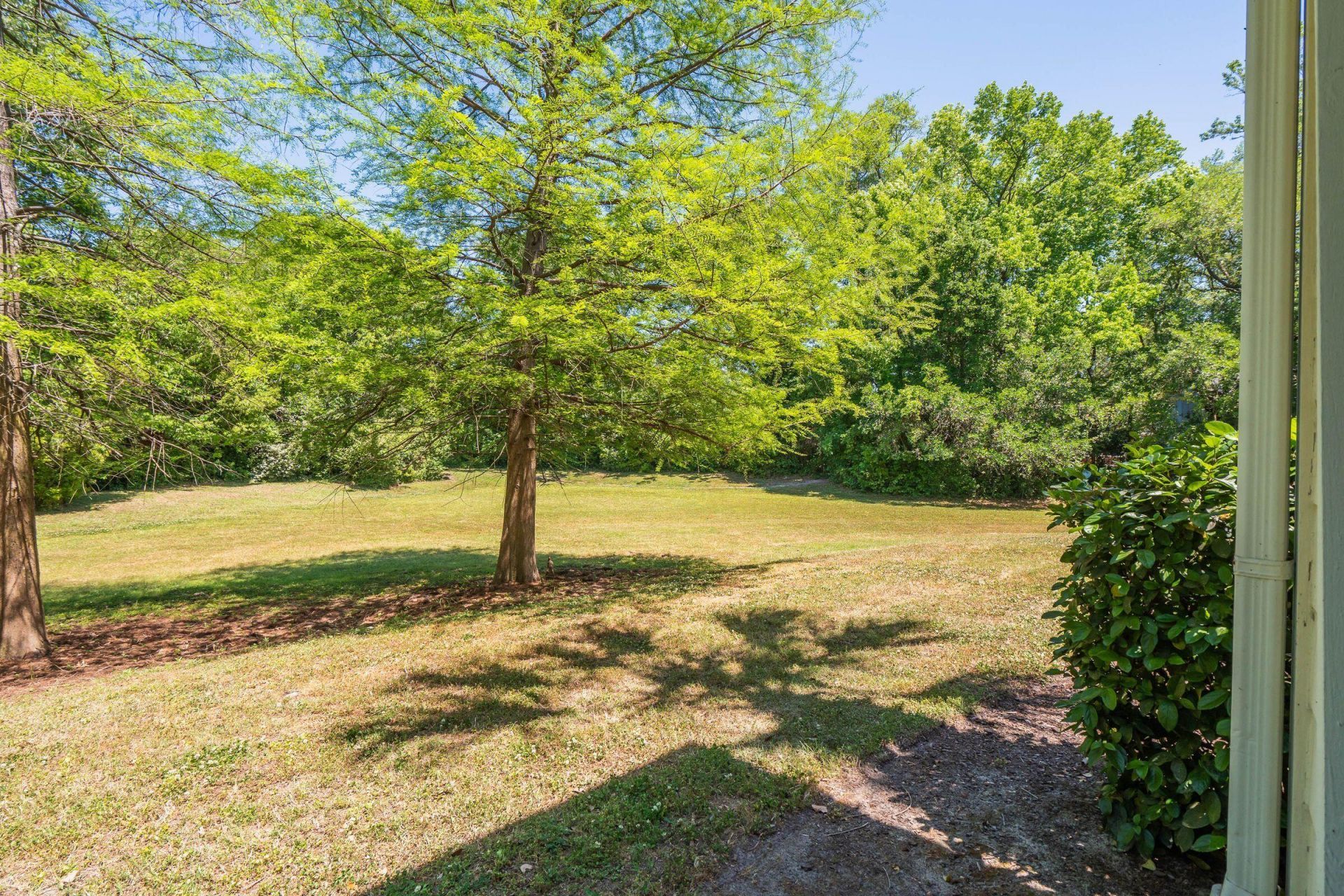 45 Sycamore Avenue Photo 45