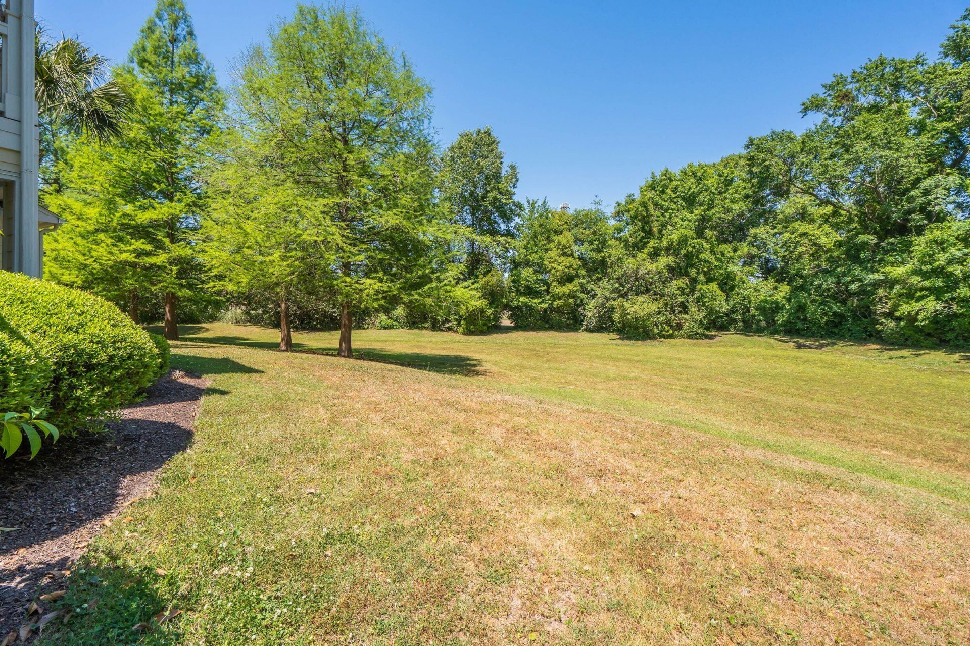 45 Sycamore Avenue Photo 47