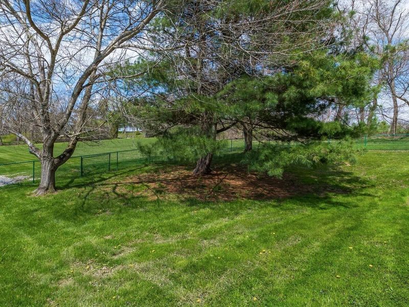 14966 Township Road 30 , Mount Perry, OH 43760 Photo 37