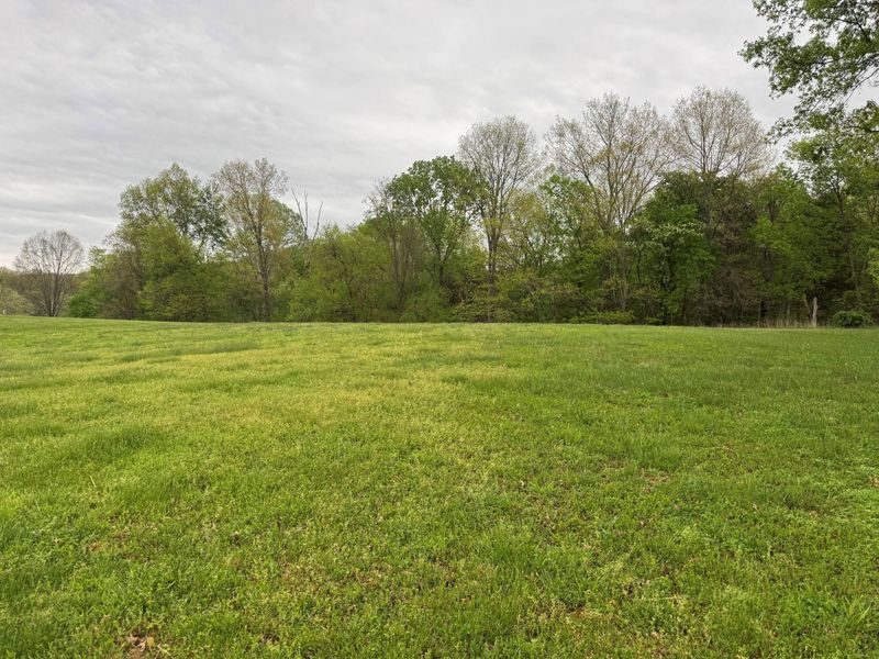 00 Springport Ferry Road, Perry Park, KY 40363 Photo 3