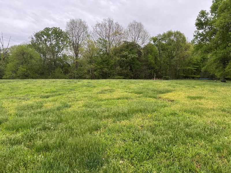 00 Springport Ferry Road, Perry Park, KY 40363 Photo 4