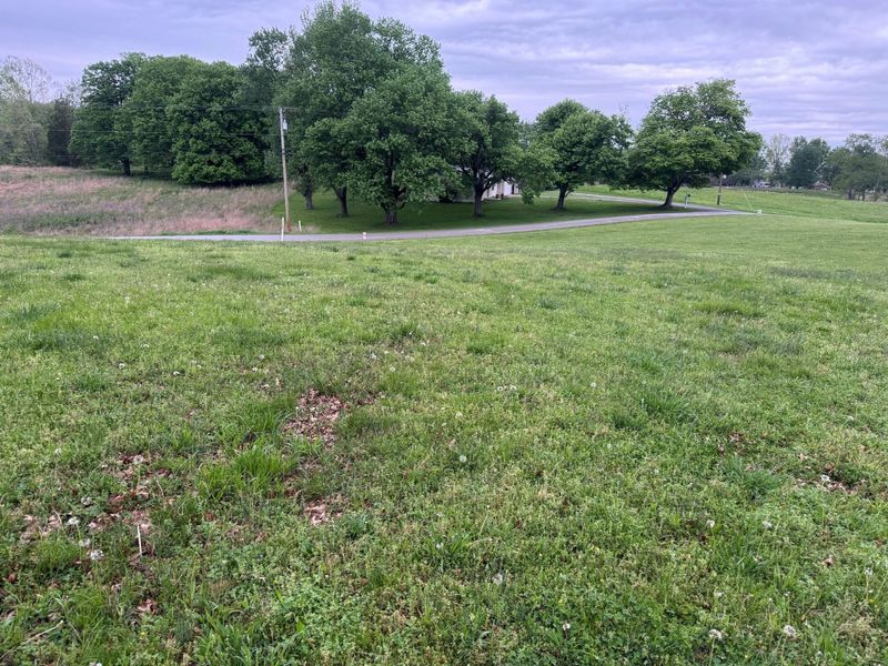00 Springport Ferry Road, Perry Park, KY 40363 Photo 5