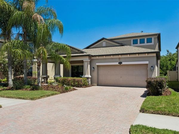 19546 WHISPERING BROOK DRIVE, TAMPA, FL 33647