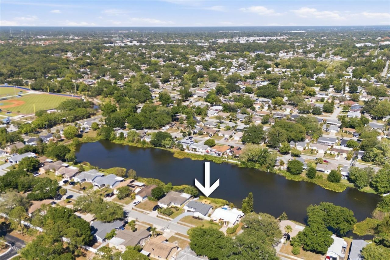 1423 Chesterfield Drive, Dunedin, FL 34698 Photo