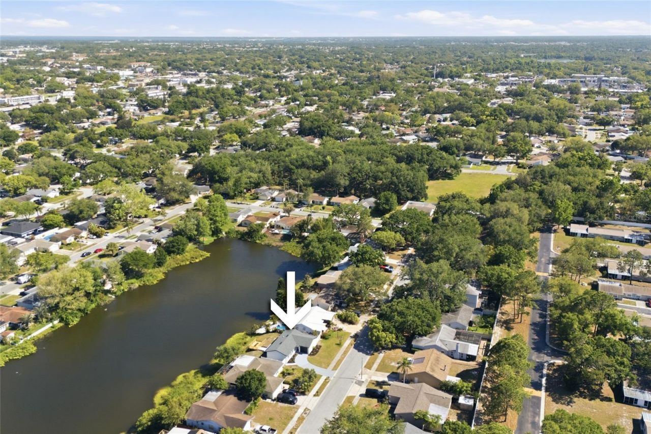 1423 Chesterfield Drive, Dunedin, FL 34698 Photo