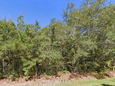 Tbd New Meadow Drive, Reevesville, SC 29471