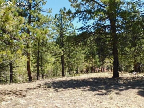 51 Mariposa Drive, Cripple Creek, CO 80813