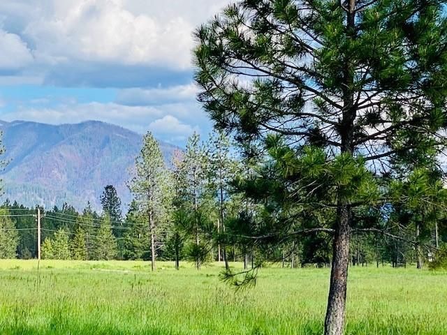 21 Cabinet View, Trout Creek, MT 59874 Main Photo