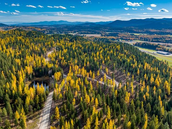 1131 Whitefish Ridge Road , Whitefish, MT 59937