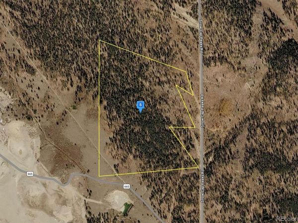 111 Snow Cap Peaks Route , Alma, CO 80420