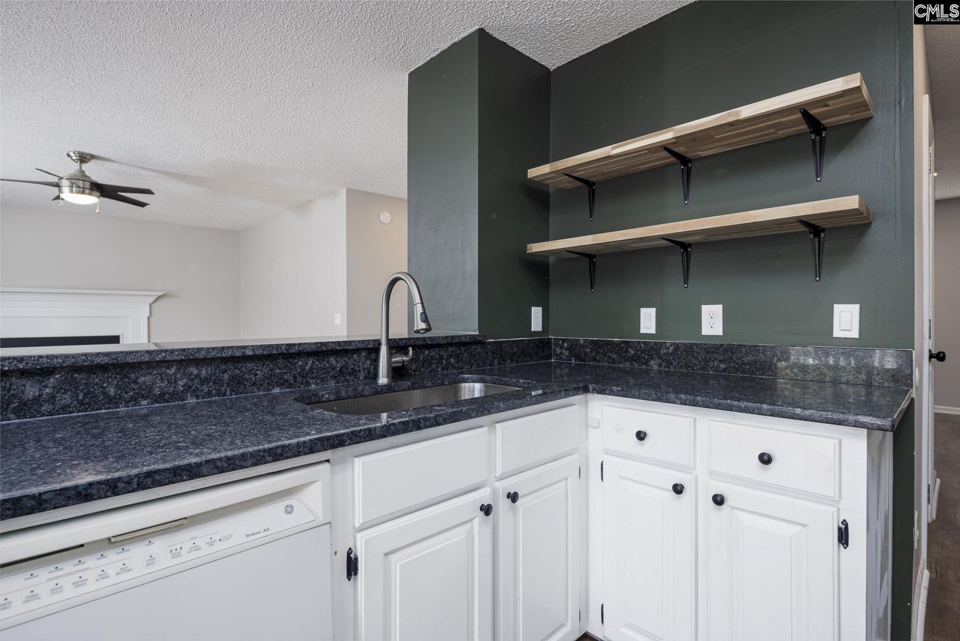 118 Long Ridge Drive  Photo 11