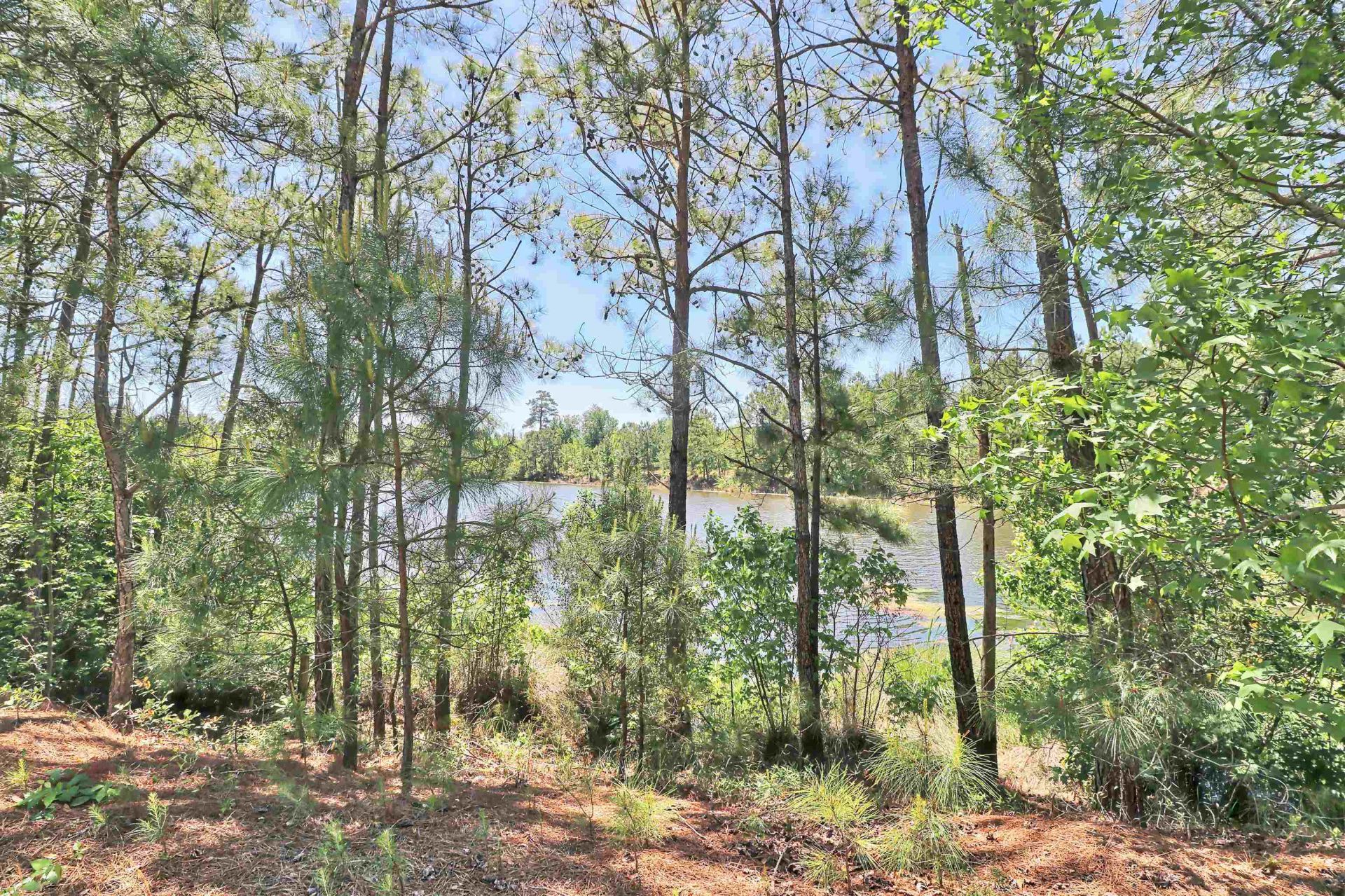 6253 Catalina Dr.  Photo 26