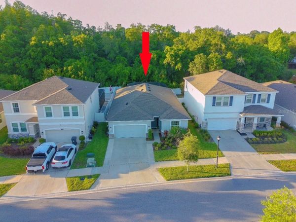 8321 PRAISE DRIVE , TAMPA, FL 33625