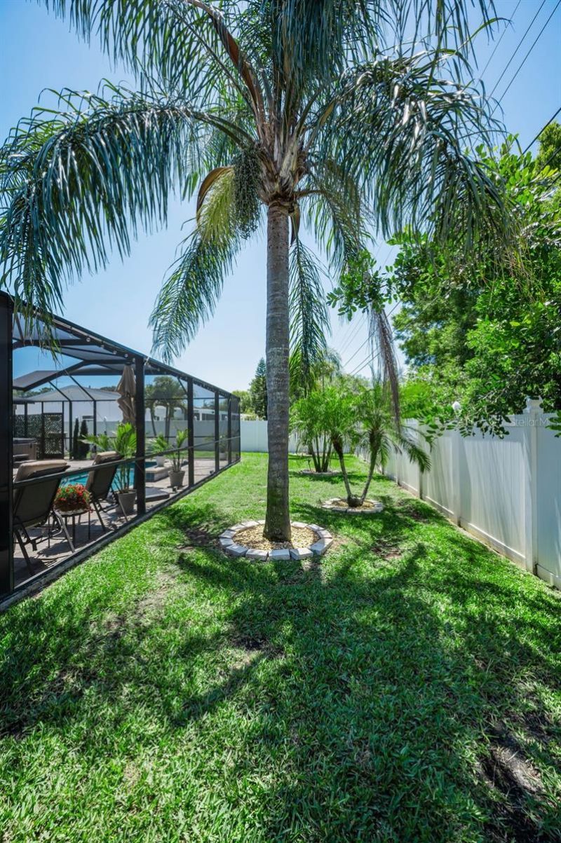 29752 69th Way N, Clearwater, FL 33761 Photo