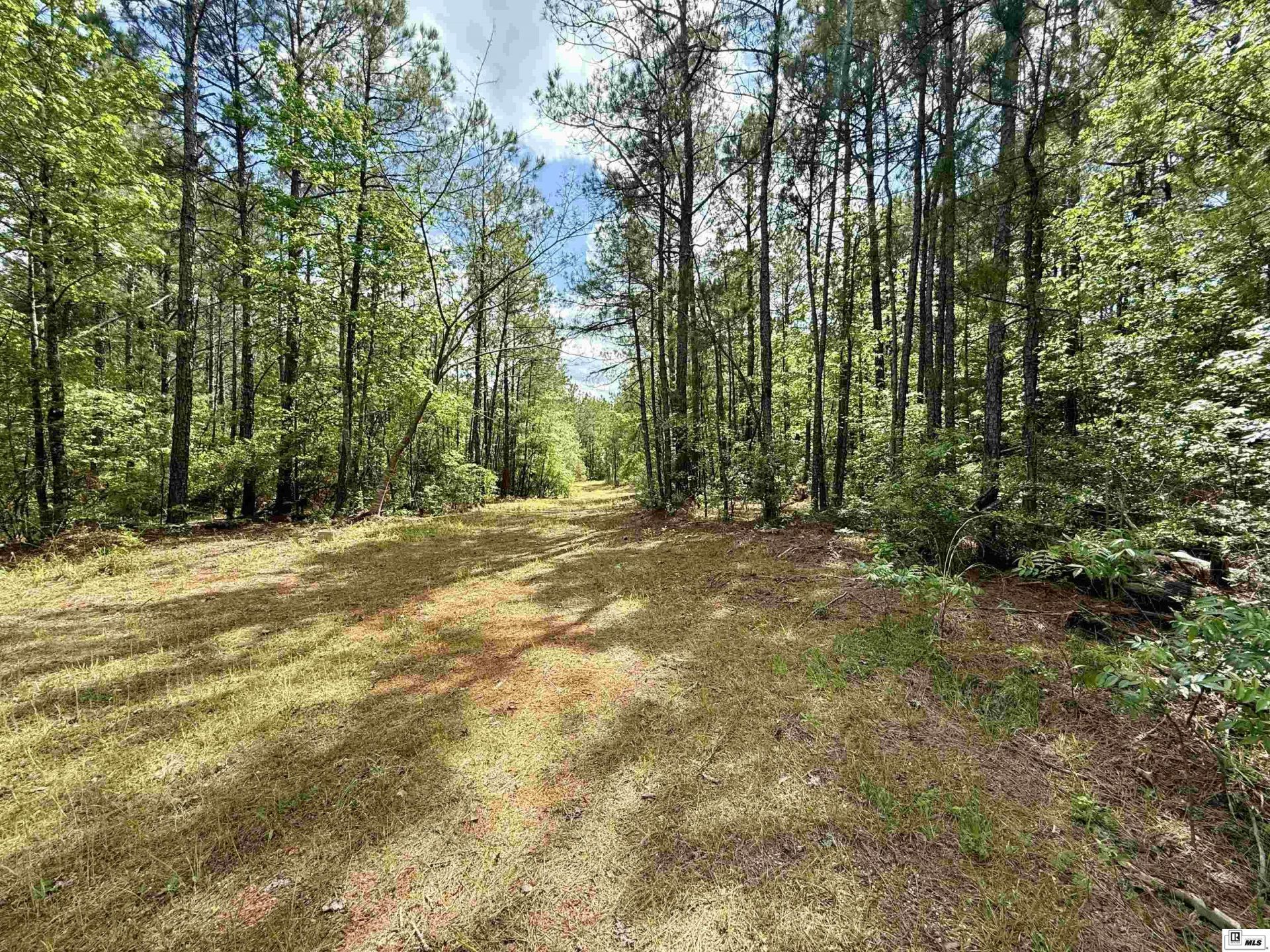 130 Doyston Road, Simsboro, LA 71275 Main Photo