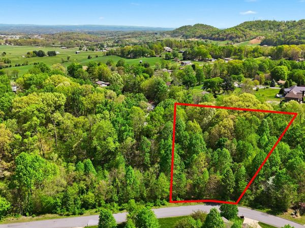 284 Holland View Drive, Jonesborough, TN 37659