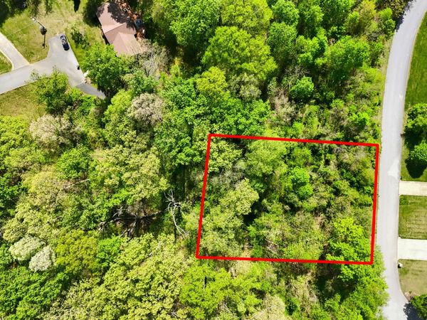 292 Holland View Drive, Jonesborough, TN 37659