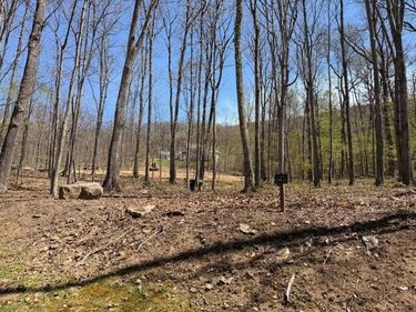 Tract 11 Delafield Rd , Hot Springs, VA 24445