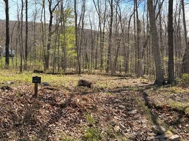 Tract 12 Delafield Rd , Hot Springs, VA 24445