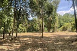 1 Blue Ridge Terrace photo 4