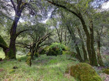 1210 Pine Vista Ln, Meadow Vista, CA 95722 Photo