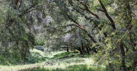 1210 Pine Vista Ln, Meadow Vista, CA 95722 Photo