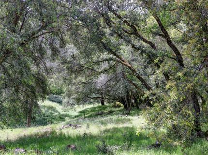 1210 Pine Vista Ln, Meadow Vista, CA 95722 Photo