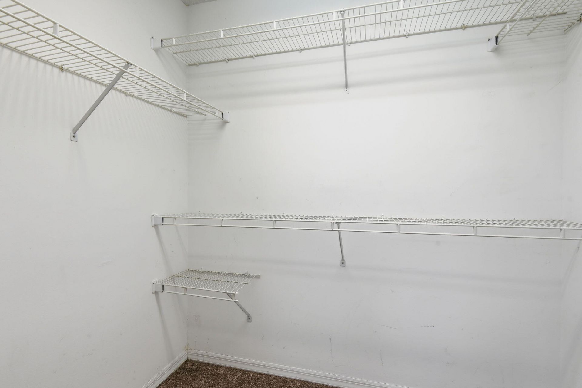 7350 SW 161st Place, Miami, FL 33193 Photo