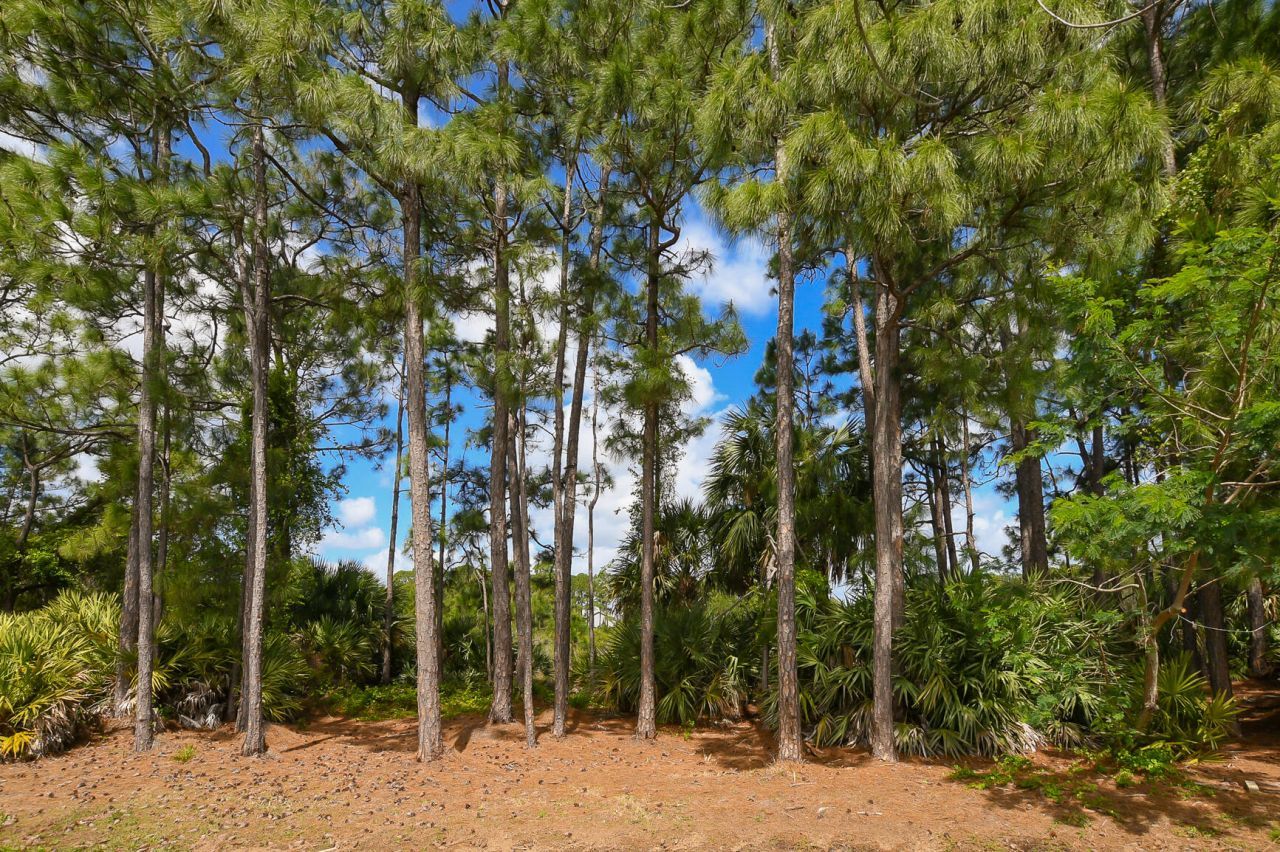 316 SW Maclay Way, Port Saint Lucie, FL 34986 Photo