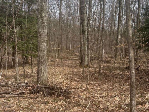 Lost Lake Road, Beulah, MI 49617