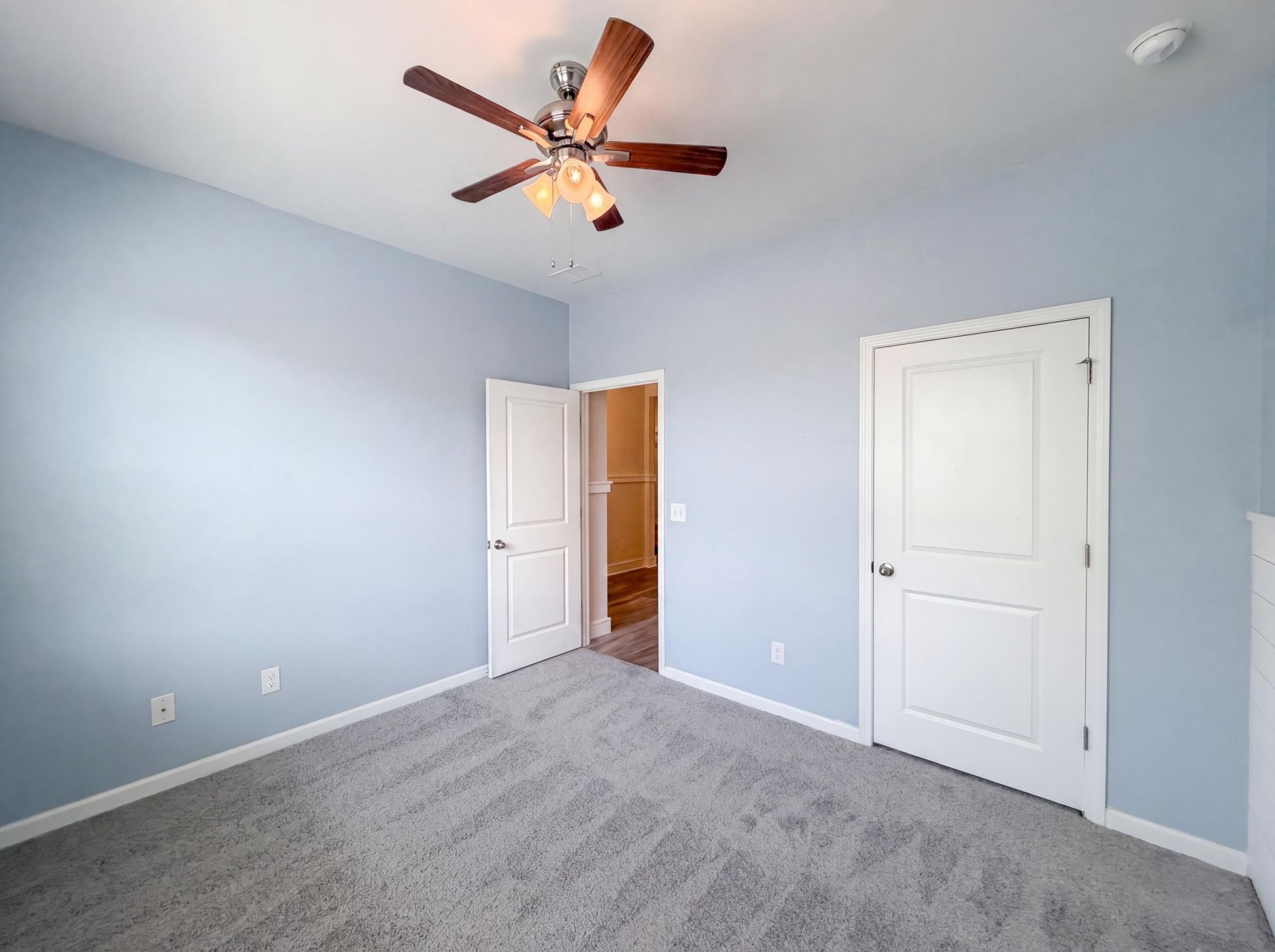 9741 Flooded Field Drive Photo 11