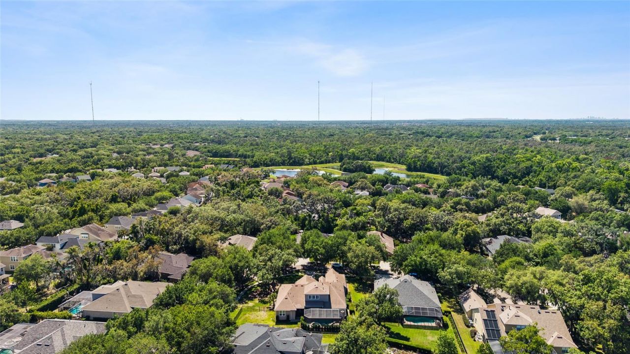 5823 Terncrest Drive, Lithia, FL 33547 Photo