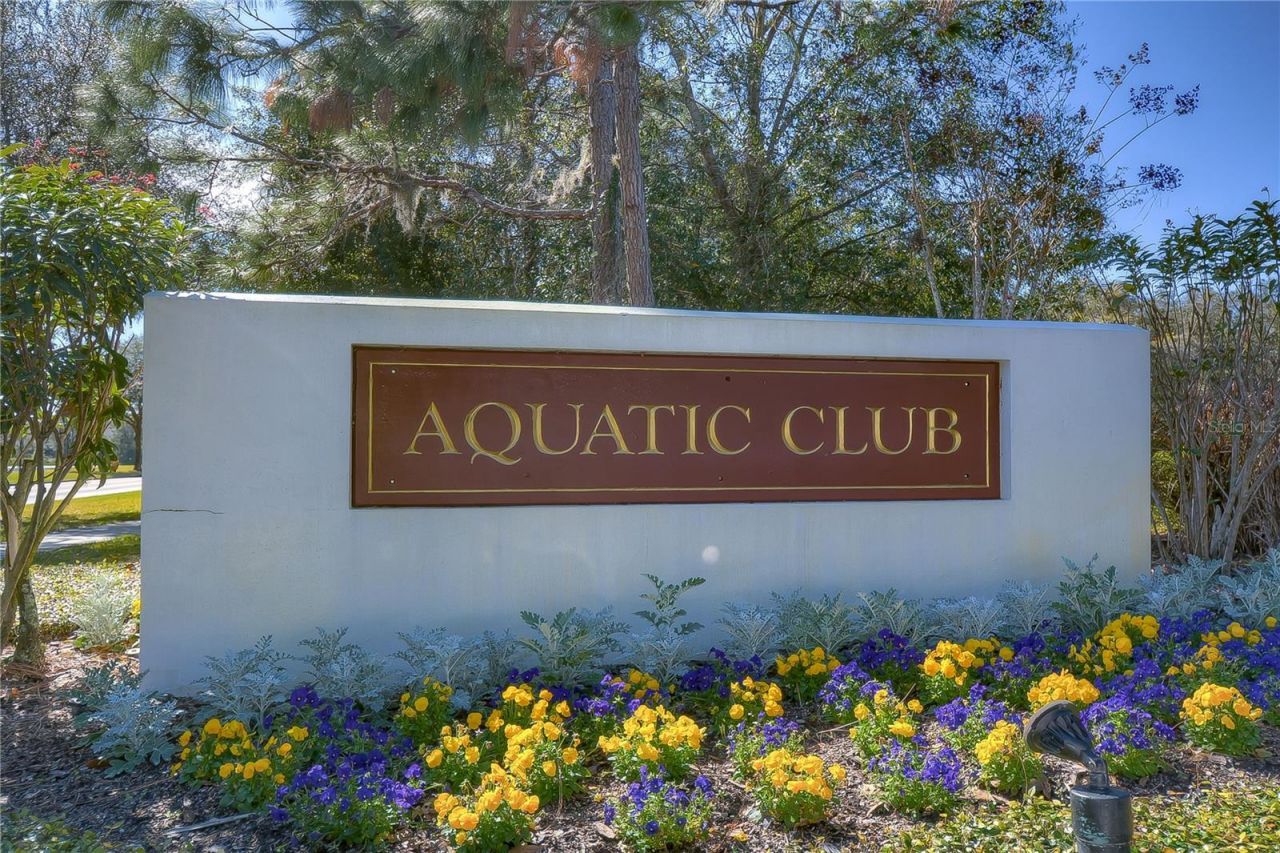 5823 Terncrest Drive, Lithia, FL 33547 Photo