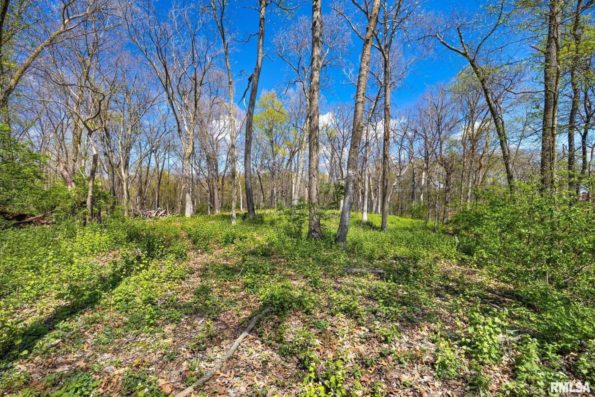 2611 Bartruff Lane, Pekin, IL 61554 Main Photo