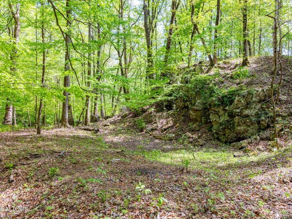 8 ac +/-Tollgate Rd, Rockwood, TN 37854