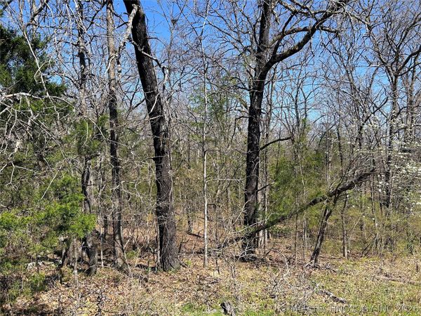 S Deer Run Road , Park Hill, OK 74451