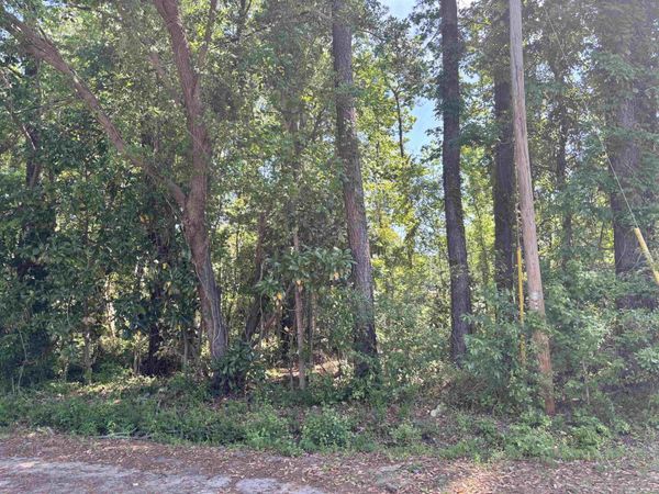 TBD Wilson Ln , Conway, SC 29526