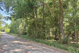 Tbd Wilson Ln  photo 4