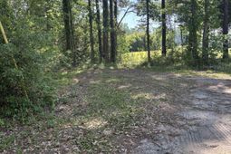 Tbd Wilson Ln  photo 4