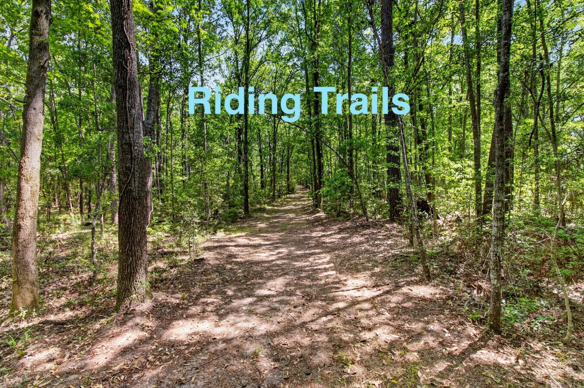 1484 Old Rosebud Trail Photo 111