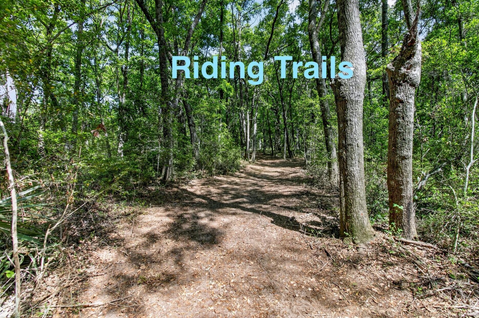 1484 Old Rosebud Trail Photo 112