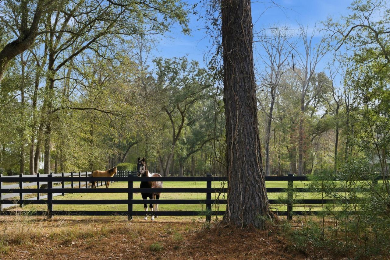 1484 Old Rosebud Trail Photo 141