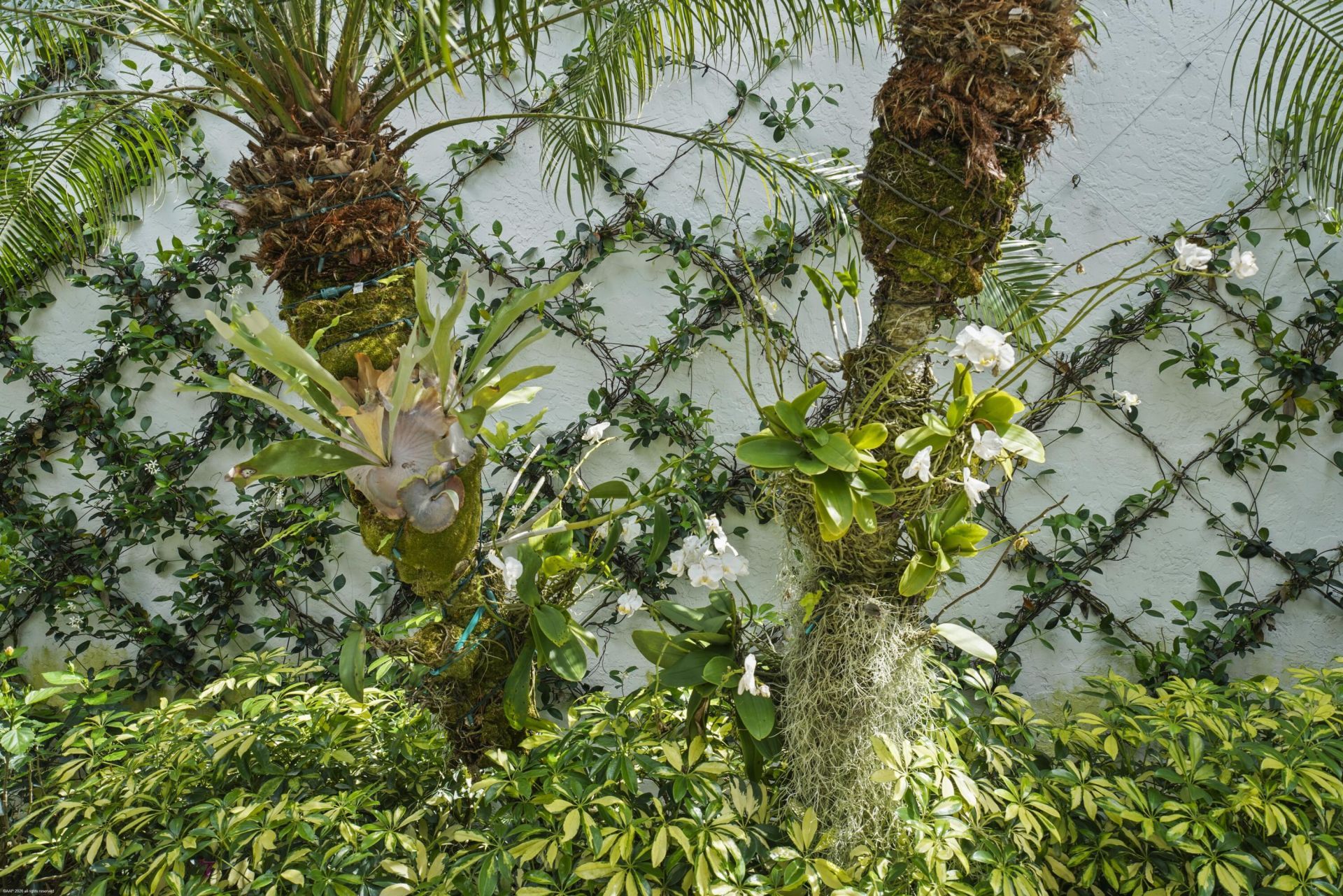 2479 Muir Circle, Wellington, FL 33414 Photo