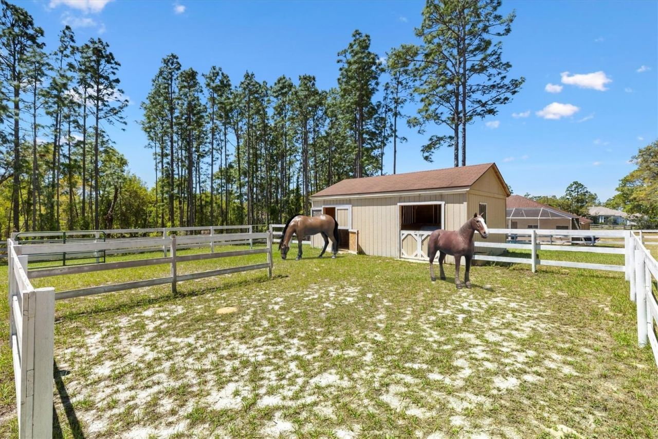 2567 N Stampede Drive , Beverly Hills, FL 34465 Photo