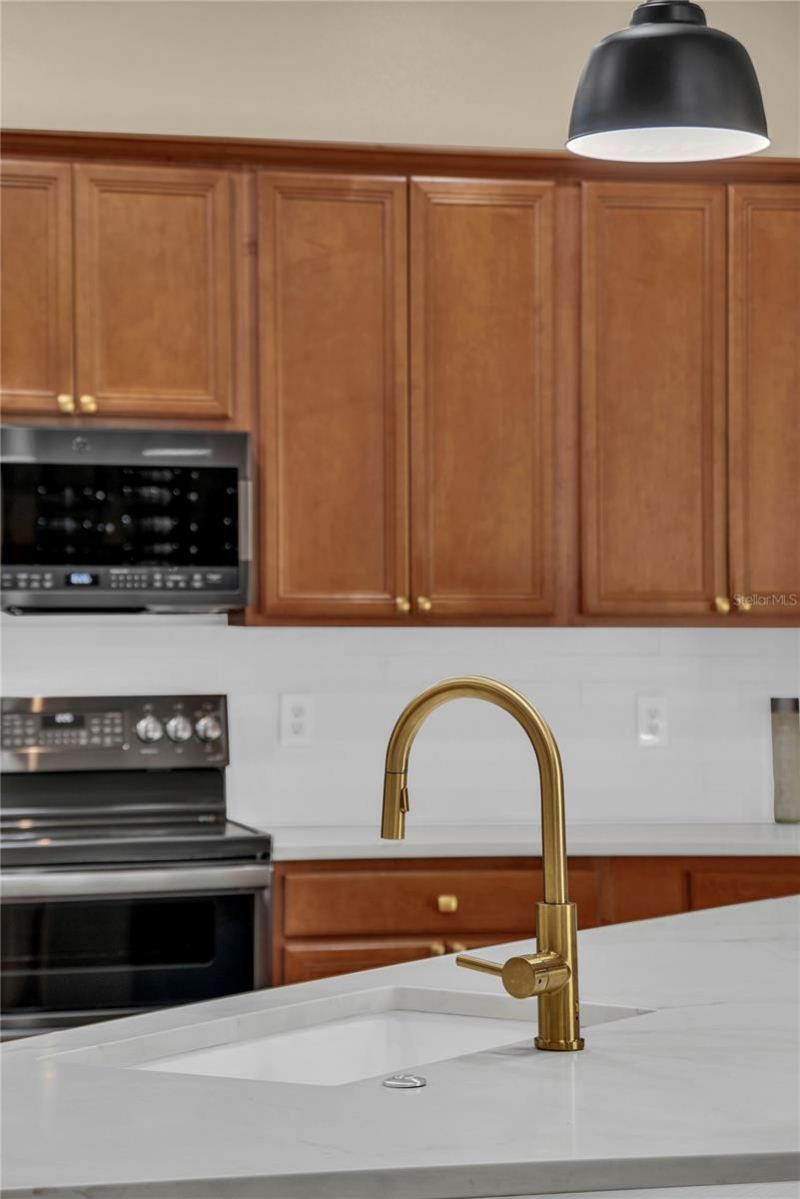 9806 Mountain Lake Drive , Orlando, FL 32832 Photo